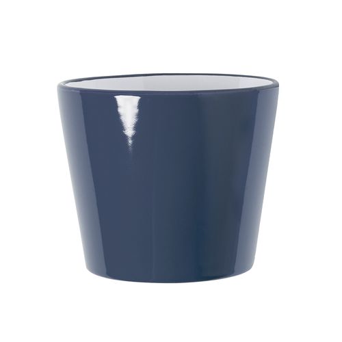 gray Taza Kario