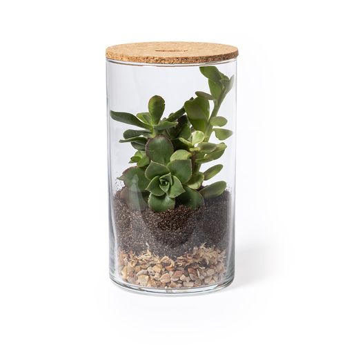 Terrarium Anymak - 3