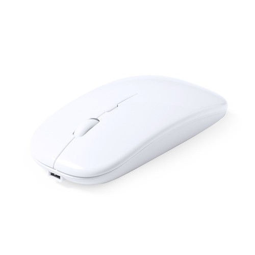 Souris Chestir RCS - 5