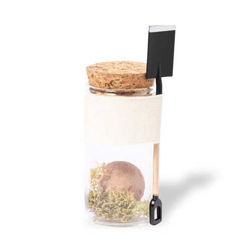 BOMBÓN SEMILLAS WINSU