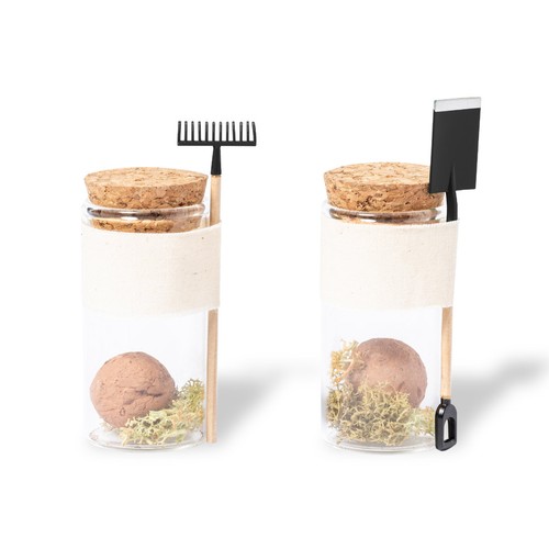 Bonbon Graines Winsu - 3