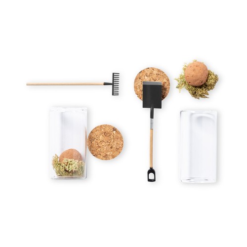 Bonbon Graines Winsu - 4