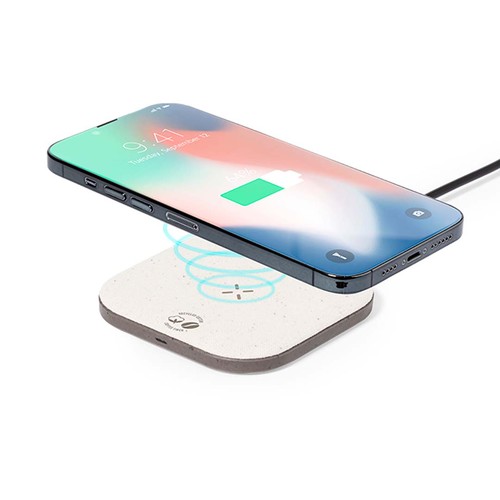 marrón Cargador Griffin