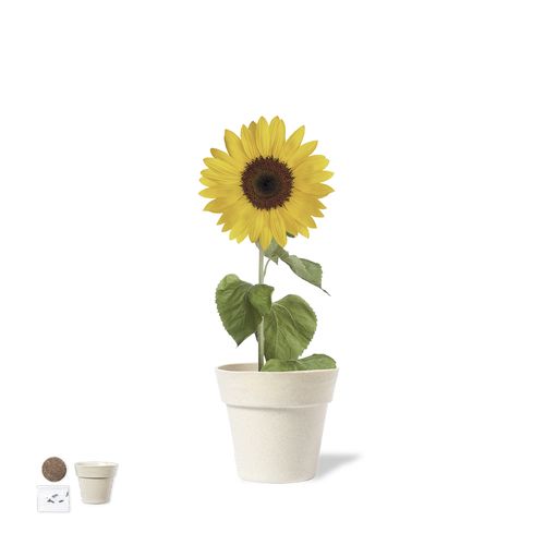 Pot de Fleurs Tumil - 2