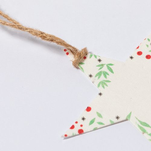 Ornement Noël Ensemencé Boster - 4