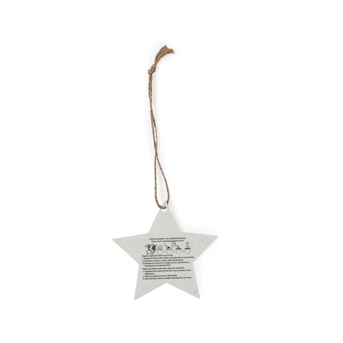 Ornement Noël Ensemencé Boster - 7