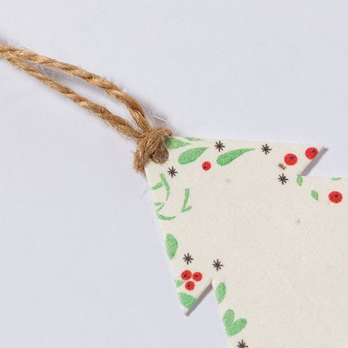 Ornement Noël Ensemencé Boster - 9