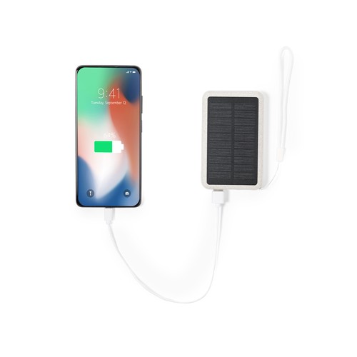 natural Power Bank Dawson