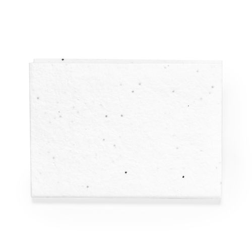 white Bloc Notas Semillas Albot