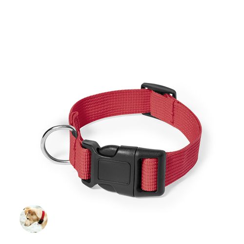 red Collar Mastif