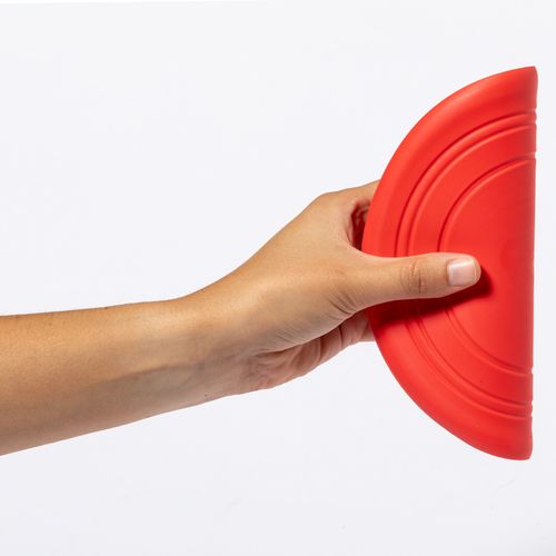 green Frisbee Girud