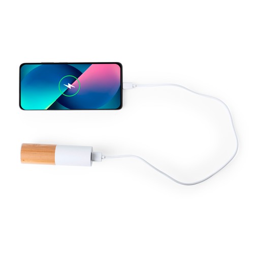 white Power Bank Reneh
