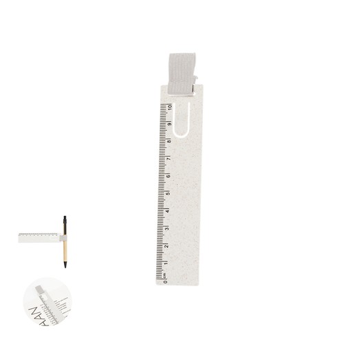 REGLA MARCAPÁGINAS LOIZA