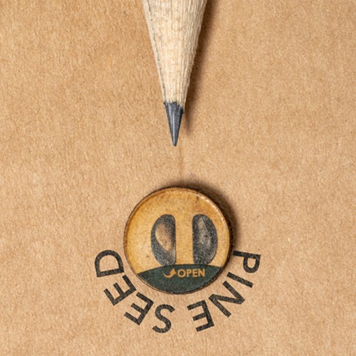 Crayon Ensemencé Etesio - 5