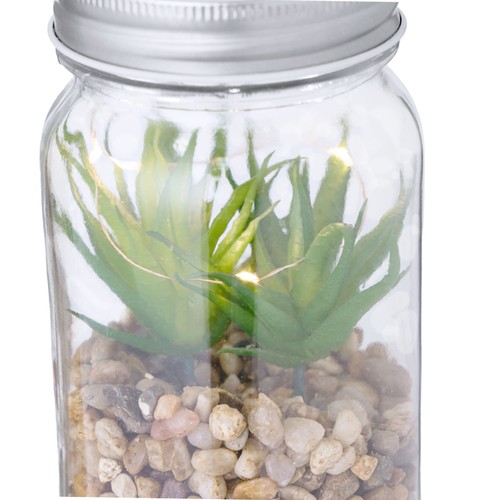 s/c Planta Decorativa Kyala