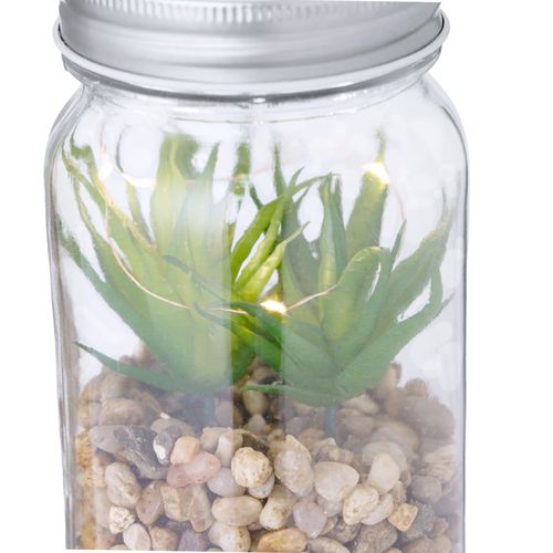 s/c Planta Decorativa Kyala