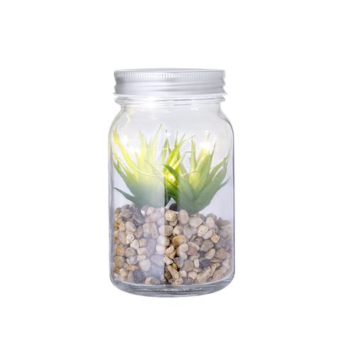 s/c Planta Decorativa Kyala