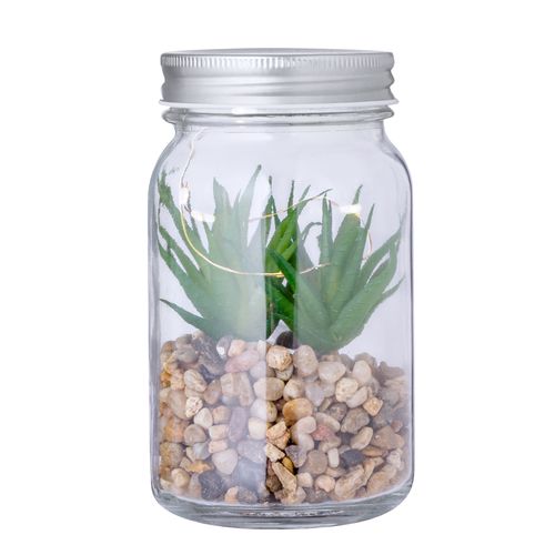 PLANTA DECORATIVA KYALA