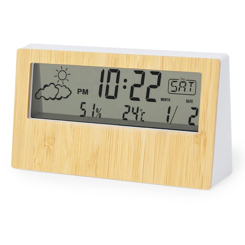 Station Météo Roamer - 2