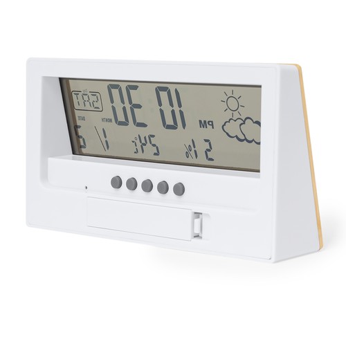 Station Météo Roamer - 3