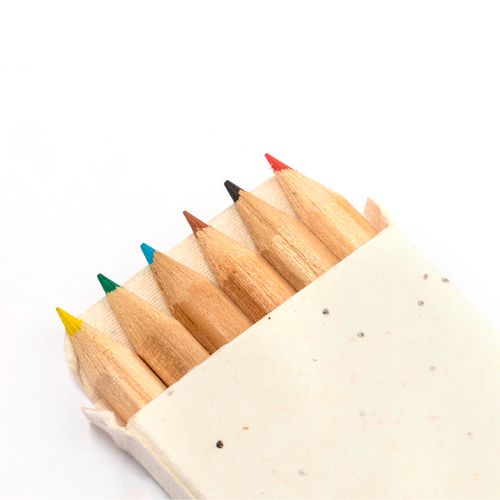 Boîte Crayons Ensemencé Delar - 6