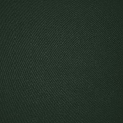 verde botella Camiseta Adulto Color Epika