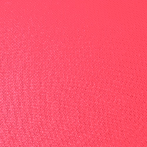 Camiseta Mujer Cocker