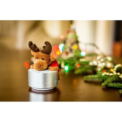 Enceinte sans fil, radio | Silas thumbnail 6