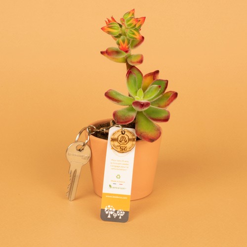 Jeton de caddie gravé avec carte thumbnail 5