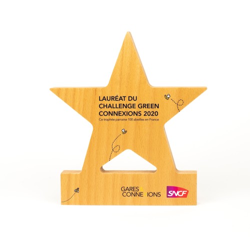 Trophée en bois étoile imprimé