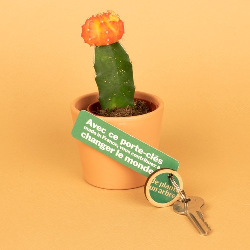 Porte-clés Sésame disque imprimé avec anneau direct et carte thumbnail 6