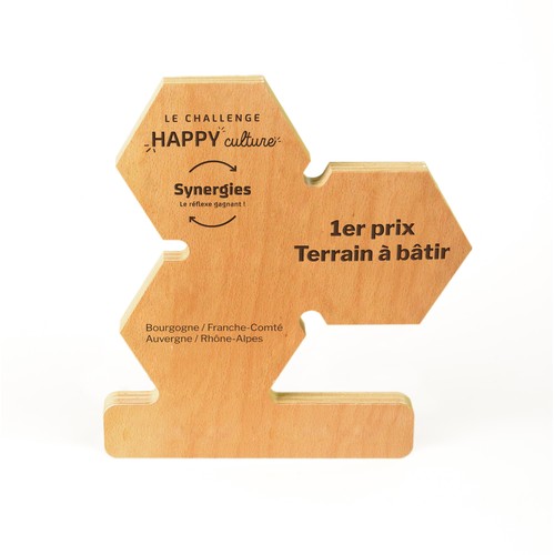 Trophée en bois alvéole gravé - 1