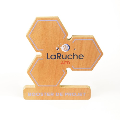Trophée en bois alvéole imprimé - 1