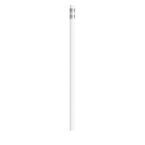BIC®  Evolution® Classic Ecolutions® crayon - 12