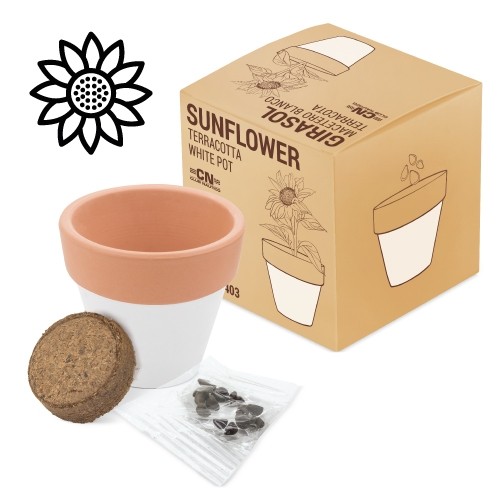 POT EN TERRE CUITE "WHITE"