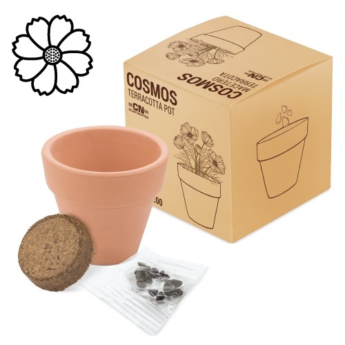 POT EN TERRE CUITE AVEC GRAINES DE COSMO "FLORAL"