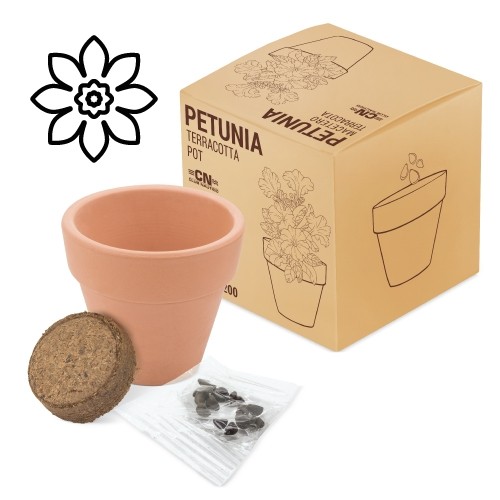 MACETA TERRACOTA PETUNIA