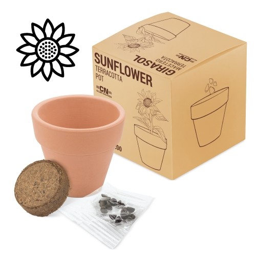 POT EN TERRE CUITE AVEC DES GRAINES DE PÉTUNIA "FLORAL"