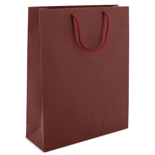 SAC EN CARTON ANSE LOOPSE "ALEXIA"