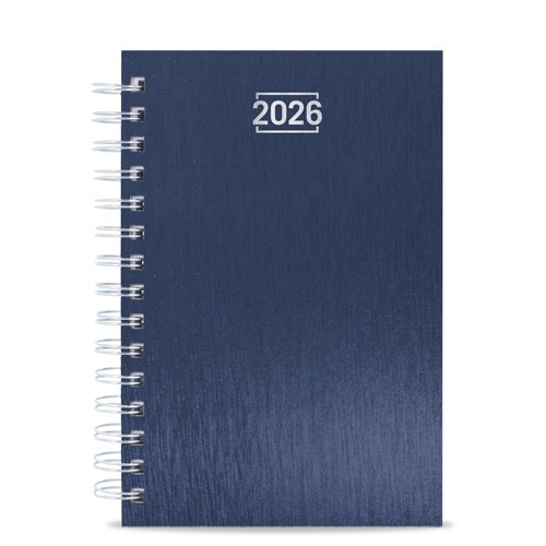 AGENDA ANILLA METALIZADA 