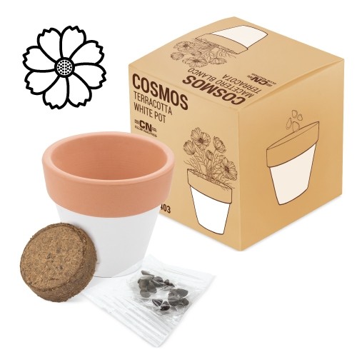 POT EN TERRE CUITE "WHITE"