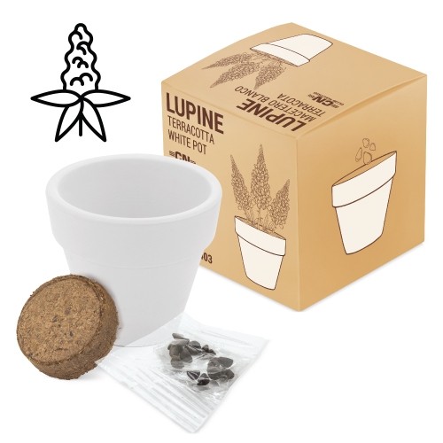 POT EN TERRE CUITE "WHITE"