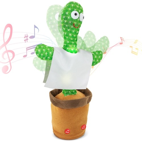 CACTUS DANSEUR "PANCHITO"