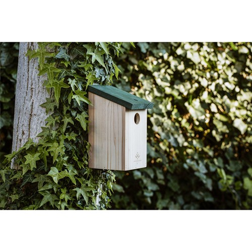 Birdhouse nichoir thumbnail 5