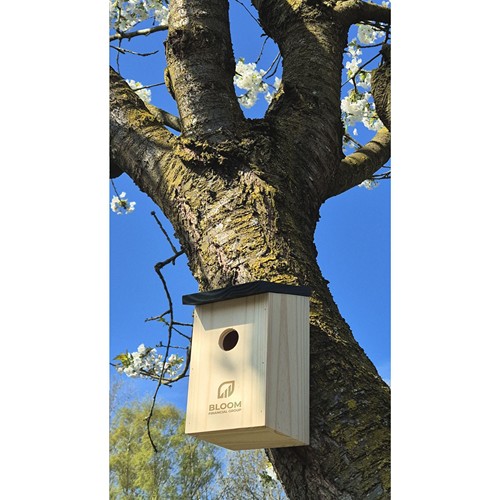 Birdhouse nichoir thumbnail 6