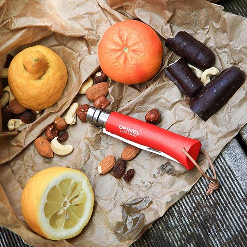 Opinel Colorama No 08 couteau de poche en étui à couteau