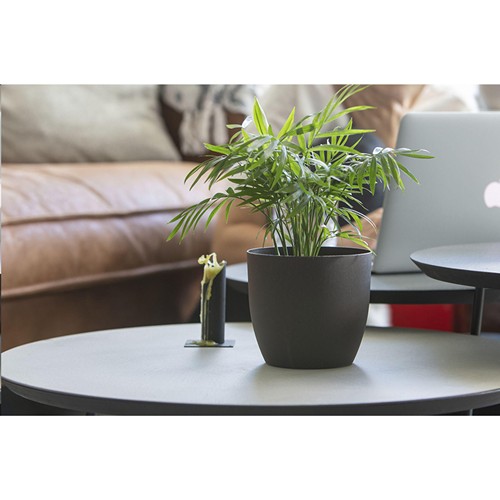Coffee Flowerpot pot de fleurs - 10