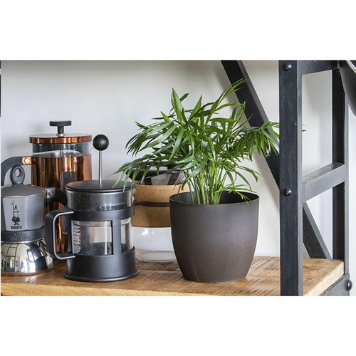 Coffee Flowerpot pot de fleurs - 12