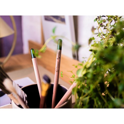 Sproutworld Sharpened Pencil crayon taillé - 10