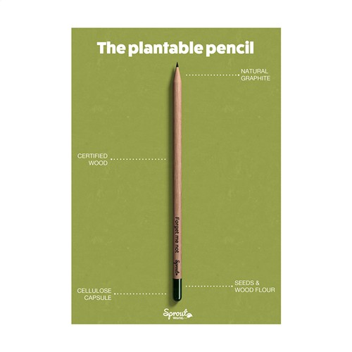 Sproutworld Unsharpened Pencil crayon non taillé - 15